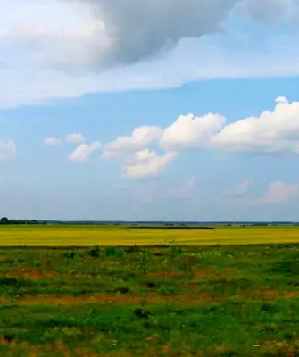 Барабинская степь