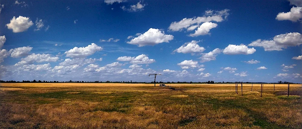 Барабинская степь
