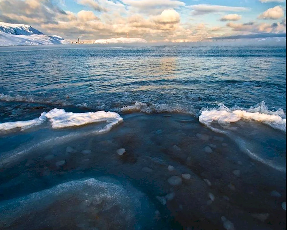 Баренцево море