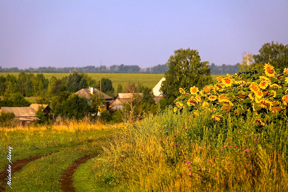 Белгород природа деревня