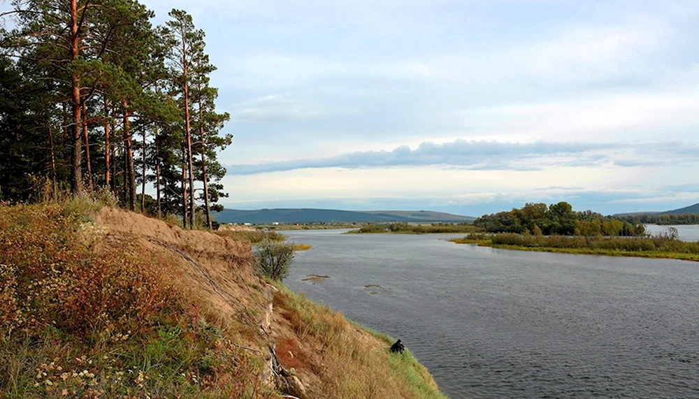 Берег Енисея
