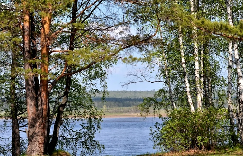 Берег Енисея