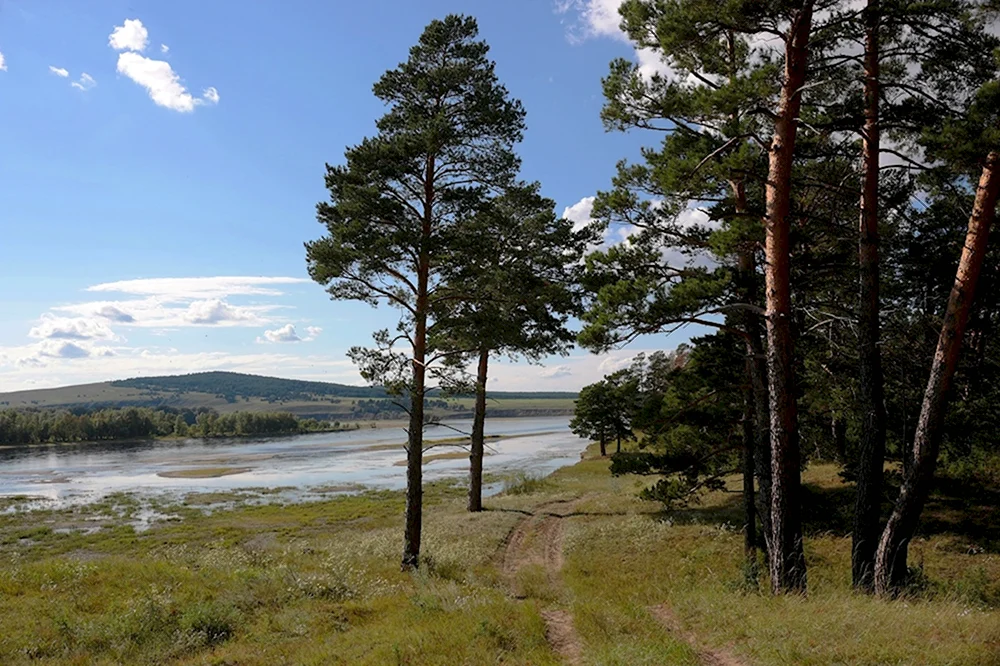 Берег Енисея Красноярск