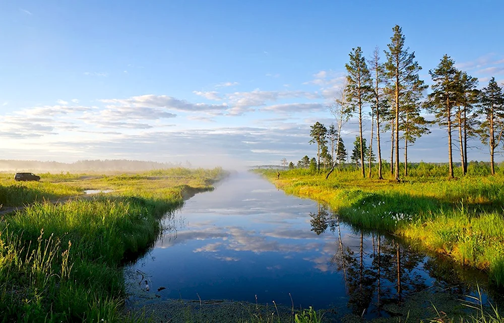 Берег реки