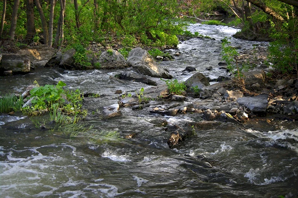 Чардымские водопады Саратов