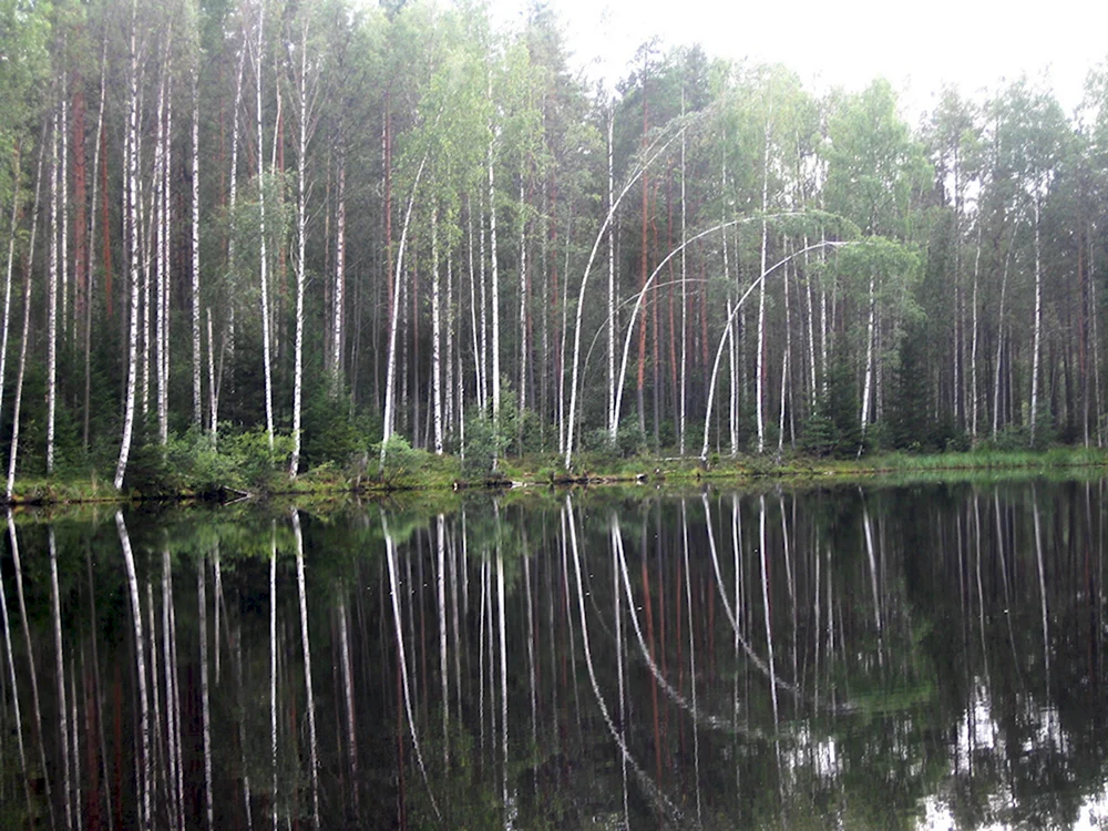 Чёртово озеро Парголово