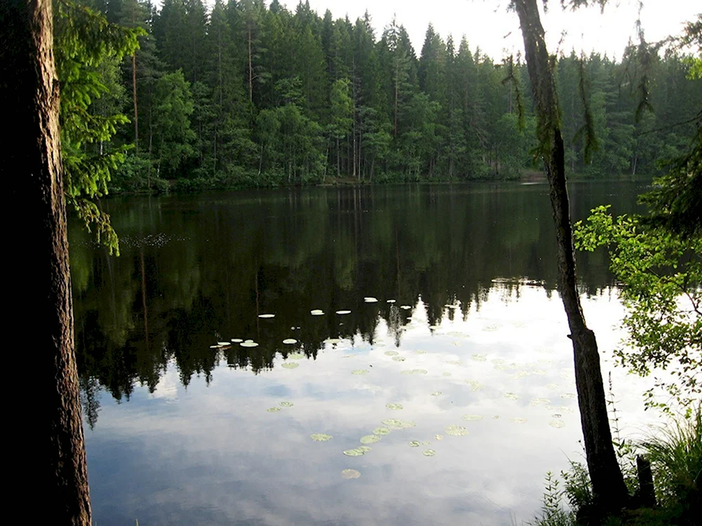 Чертово озеро Зеленогорск