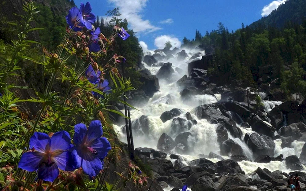 Чульчинский водопад горный Алтай