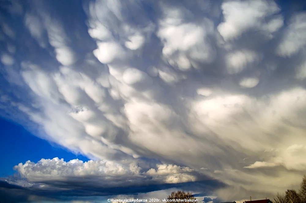 Cumulonimbus Mammatus