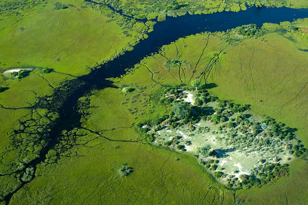 Дельта Окаванго