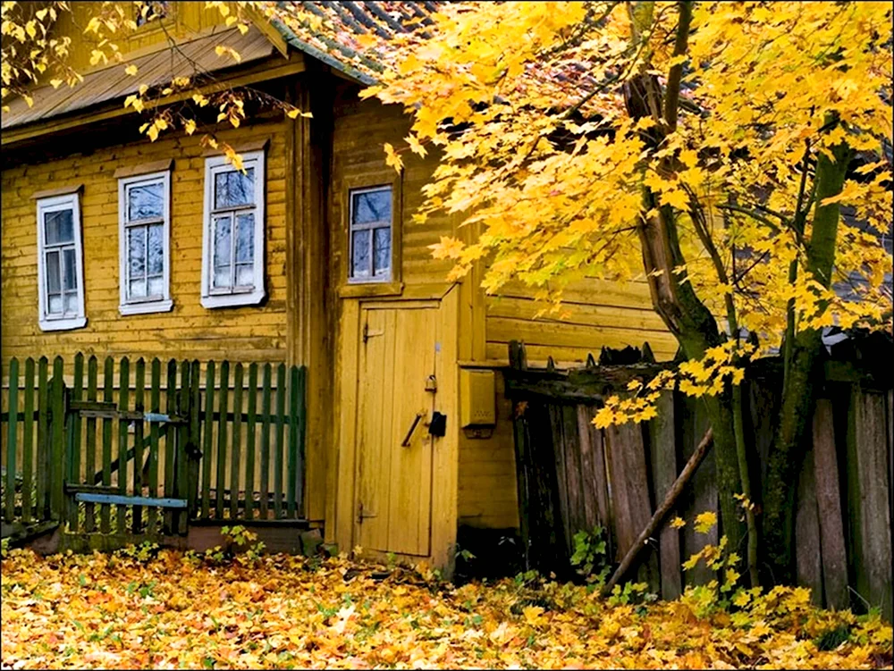 Деревенский дом осенью