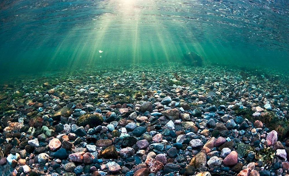 Дно Каспийского моря