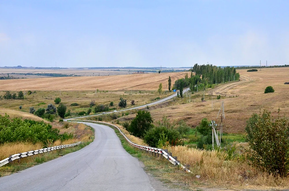 Донецкая степь