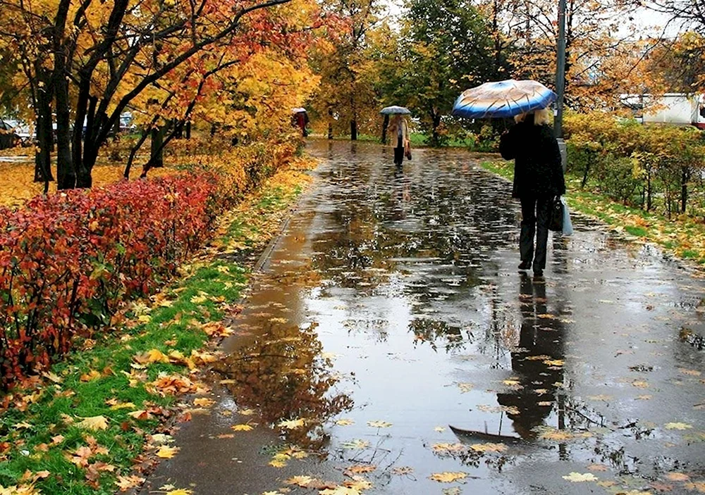 Дождливая осень