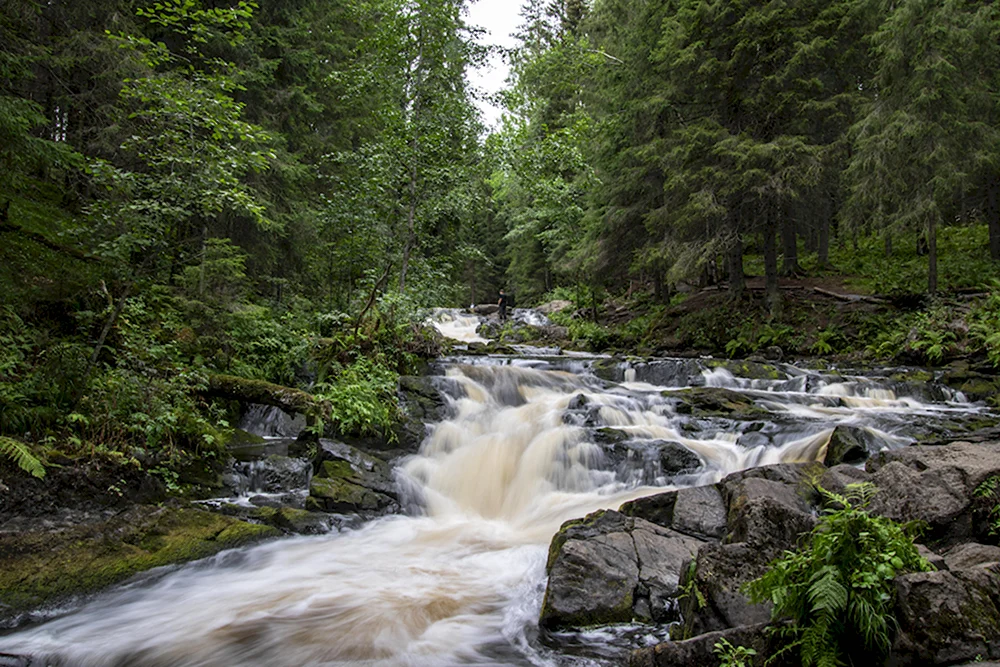 Экопарк Долина водопадов