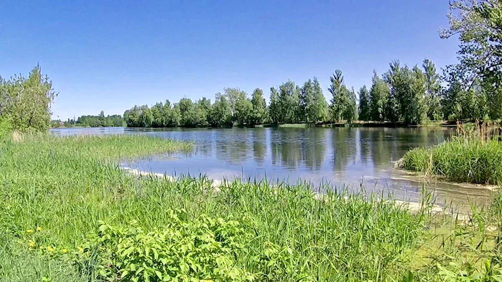 Электрогорск озеро