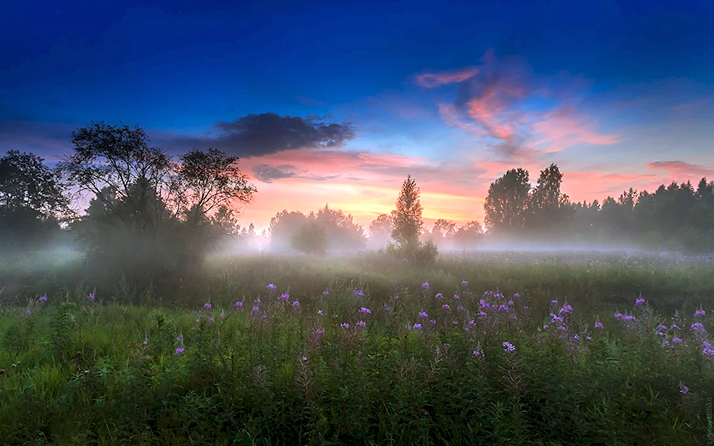 Евгений Луцко фотограф