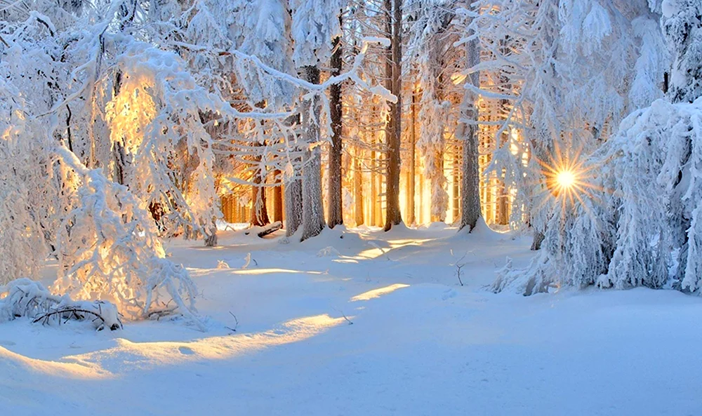 Фет Чародейкою зимою