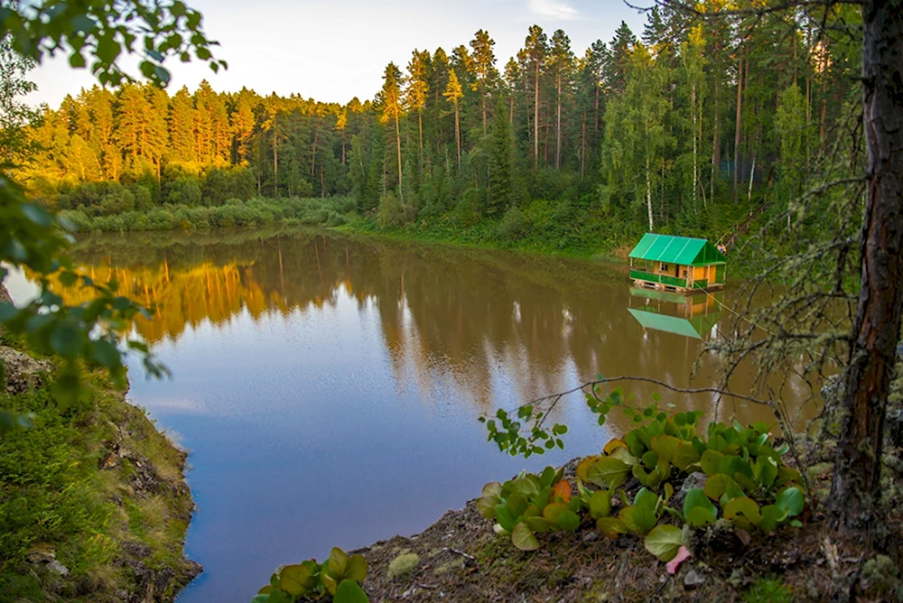 Финское озеро Парголово