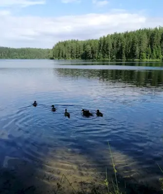 Глубокое озеро Полоцкий район