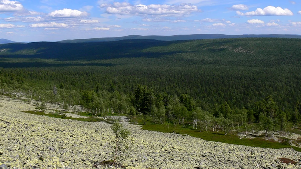 Гора Кумба Североуральск