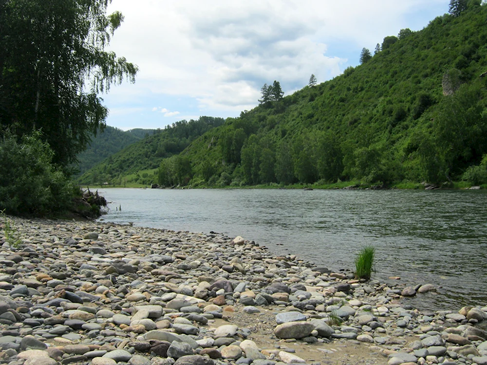 Горный Чарыш