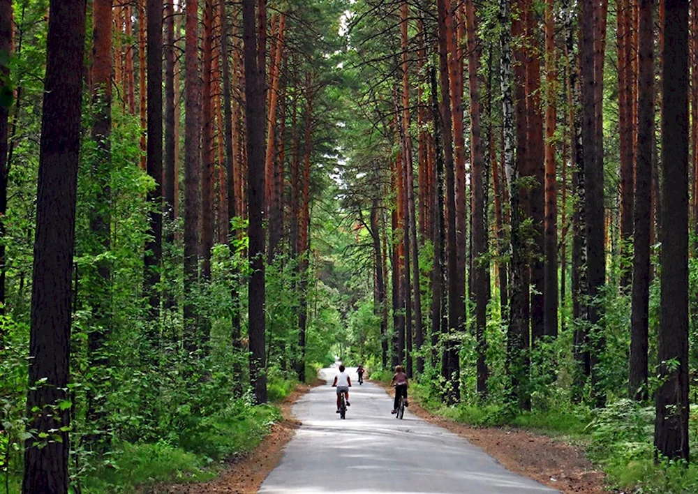 Город Новосибирск Заельцовский парк