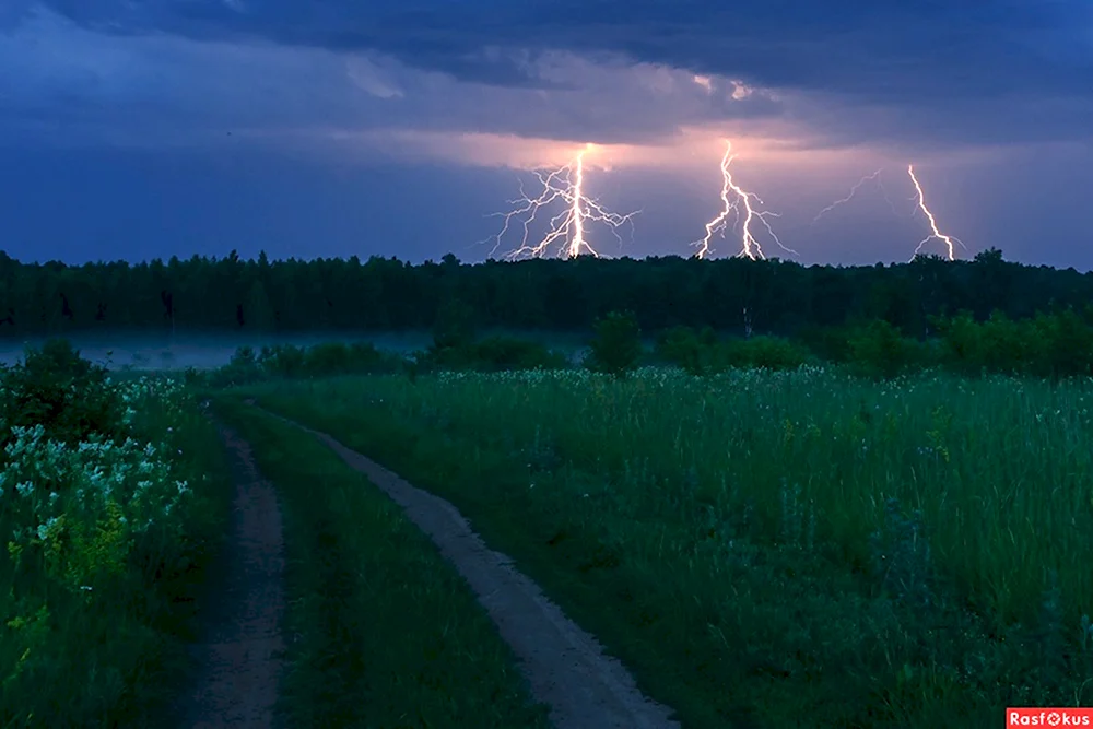 Гроза летом