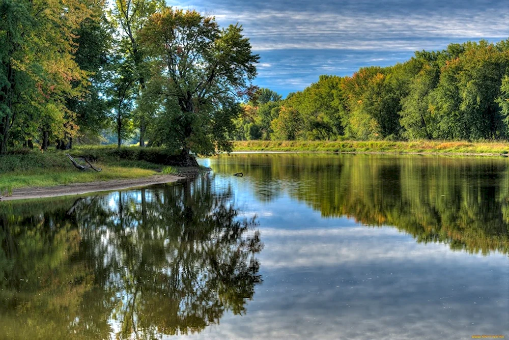 Ирпень лес река