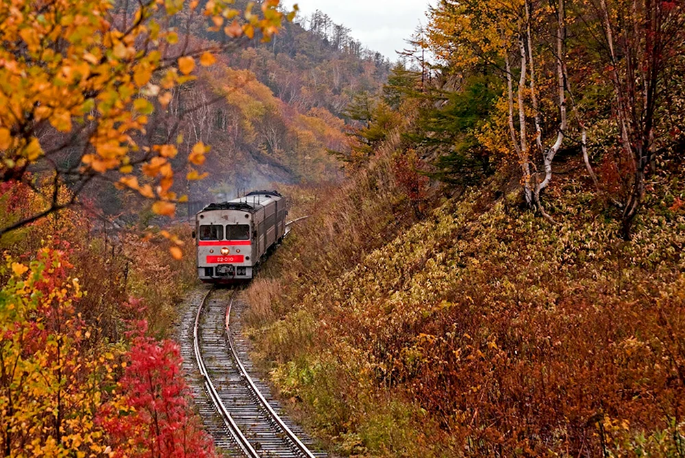 Южно-Сахалинск железная дорога