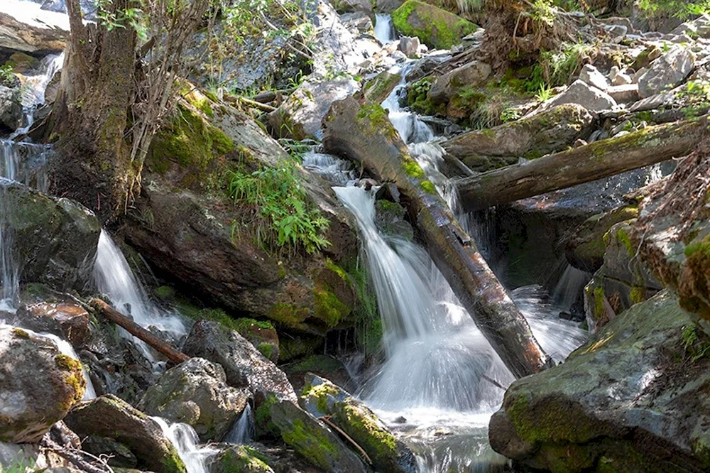 Камышлинский.водопад Алтай