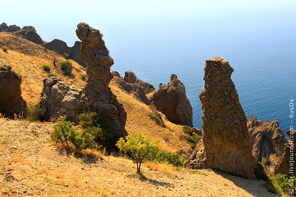 Карадагский заповедник
