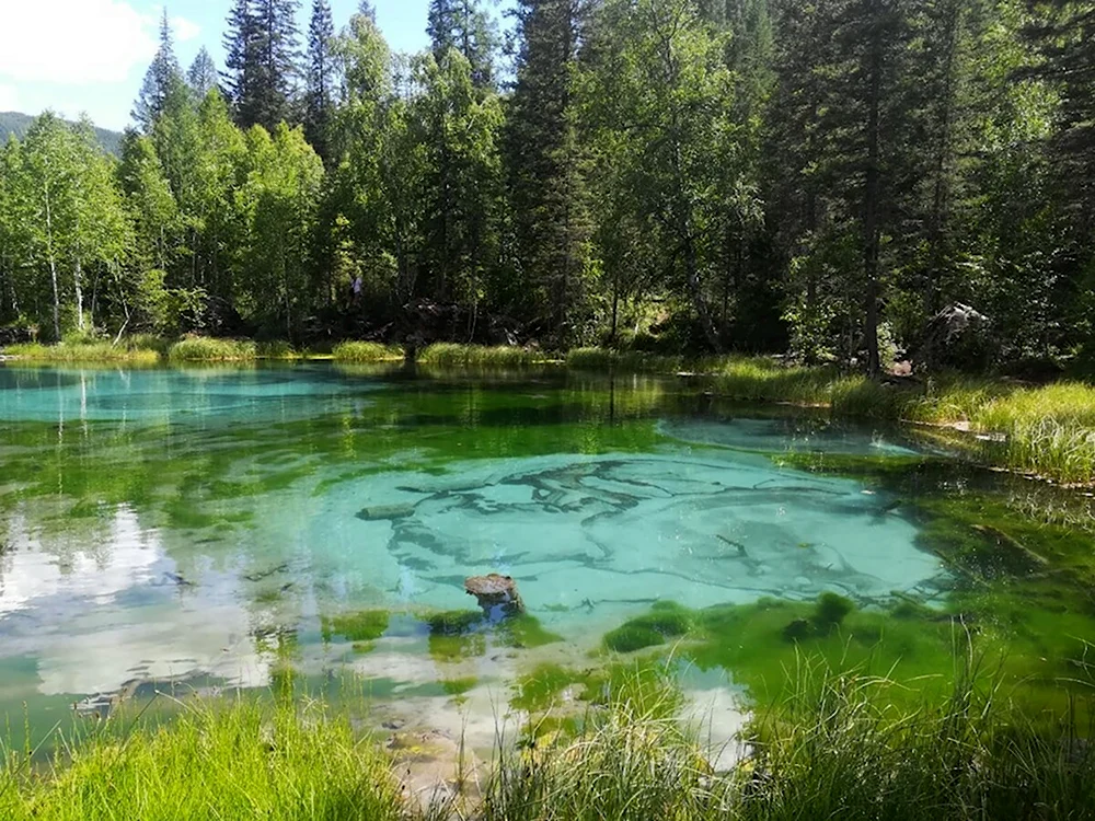 Каракольские озёра горный Алтай