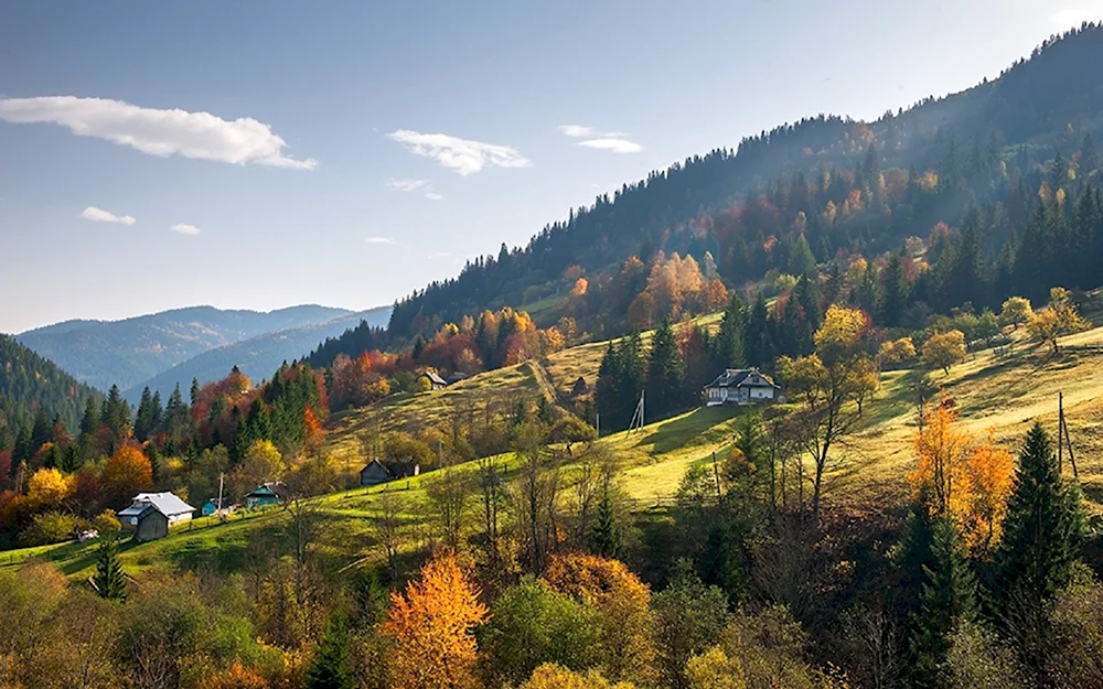 Карпатские горы Закарпатье