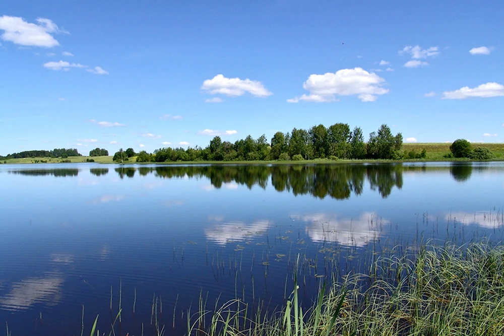 Карпушинский пруд