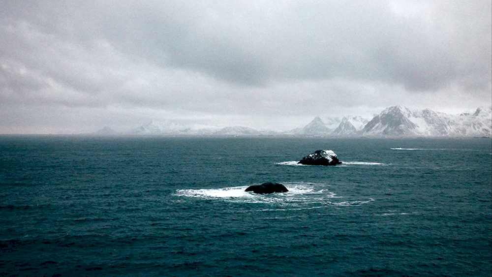 Холодное море
