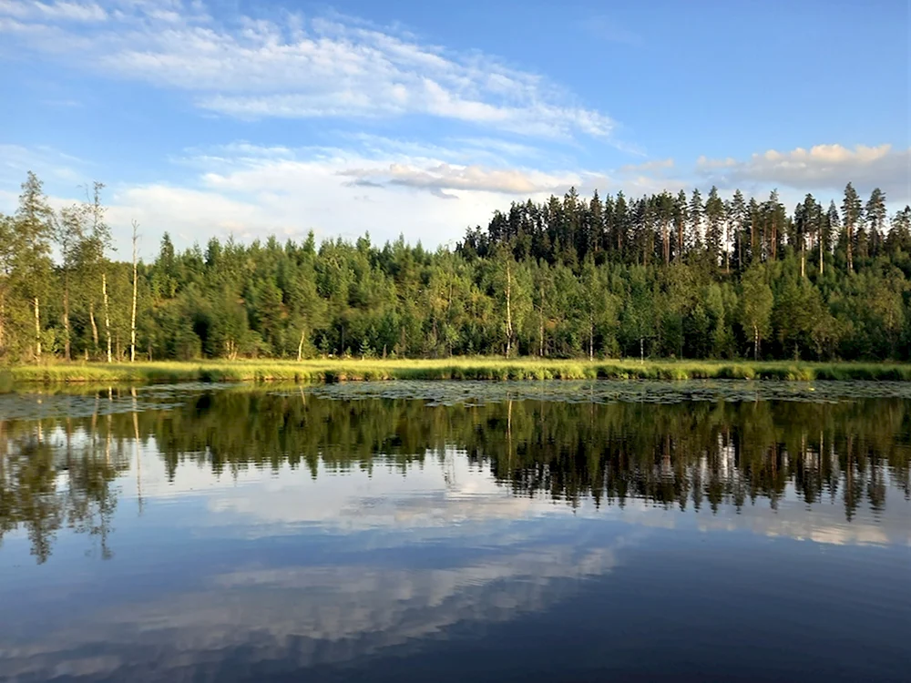 Красоты карельского перешейка