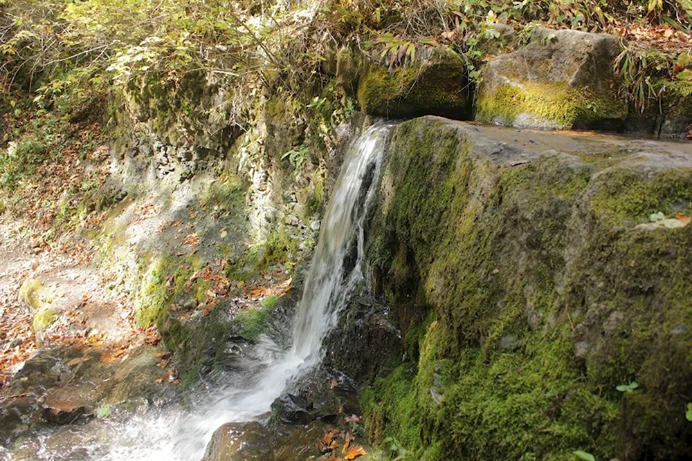 Кравцовские водопады каменная чаша