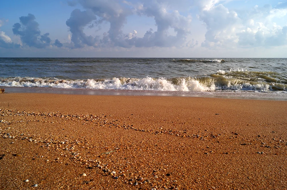 Кубань Азовское море