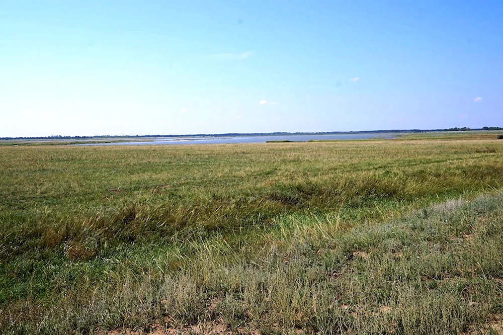 Кулундинская степь Алтайский край
