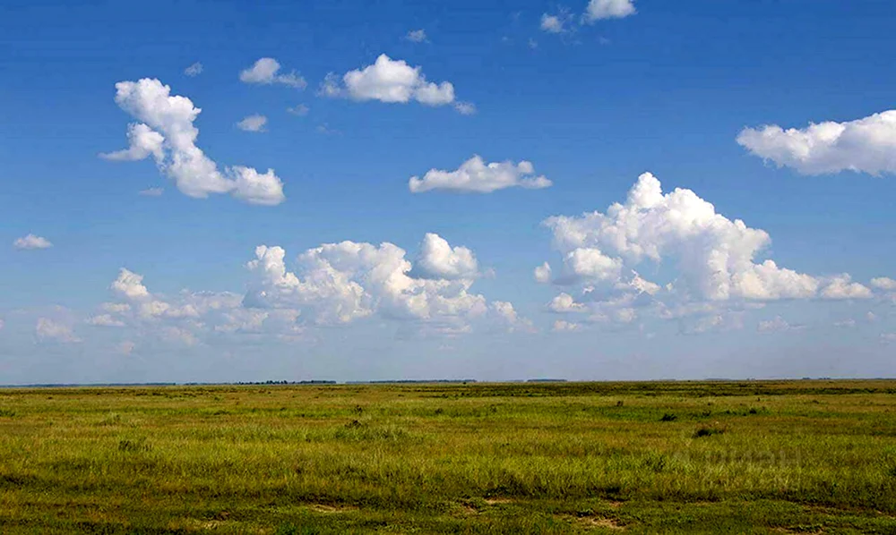 Кулундинская степь Алтайский край