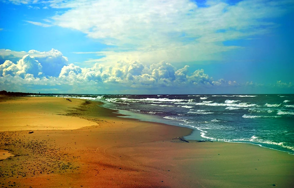 Куршская коса берег с моря
