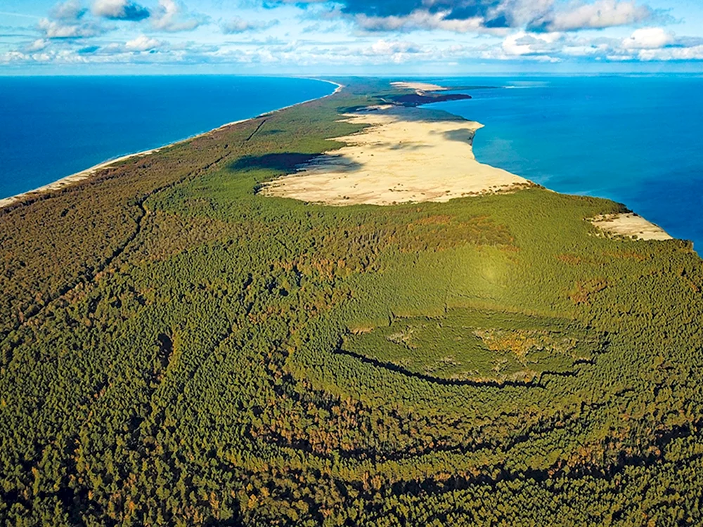 Куршская коса дюны