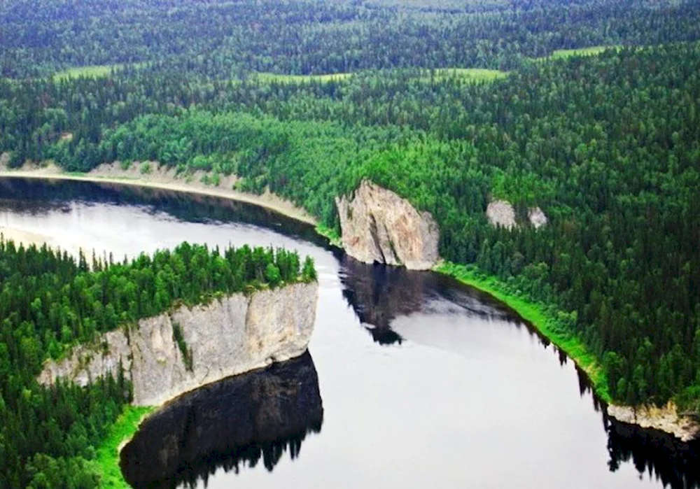 Леса Республики Коми
