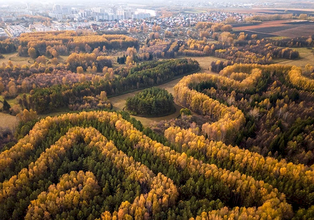 Лесопарк Синягина Краснообск