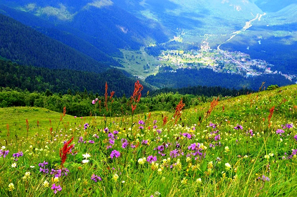 Луга Архыз