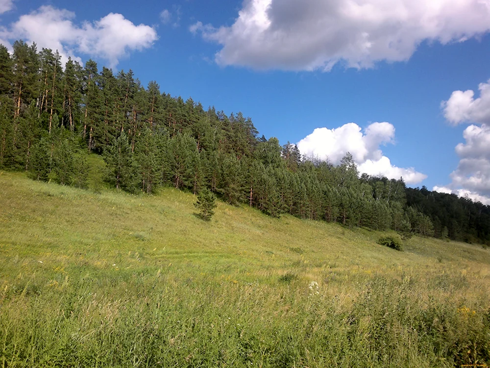 Луга Самарской области