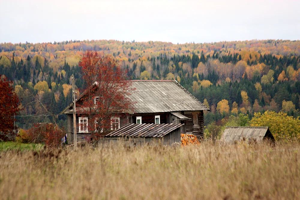 Лукино Вепсский лес деревня