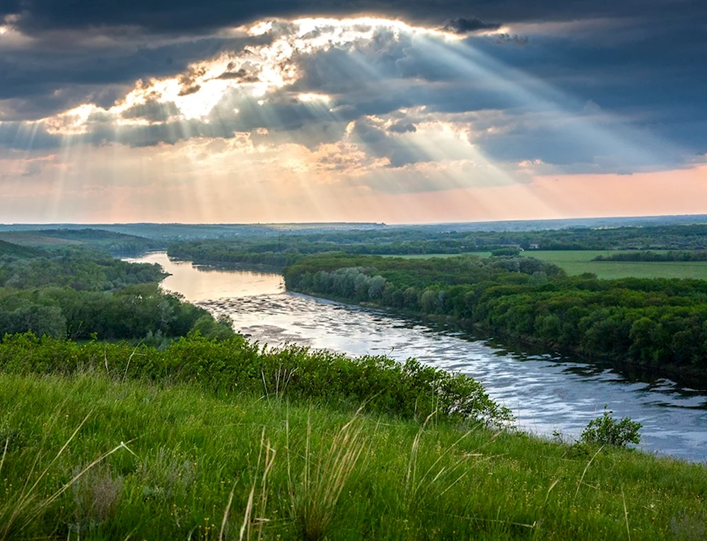 Лысая гора Кривоборье