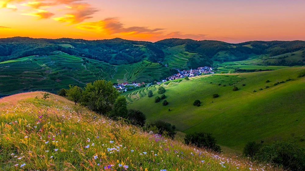 Молдова природа холмы